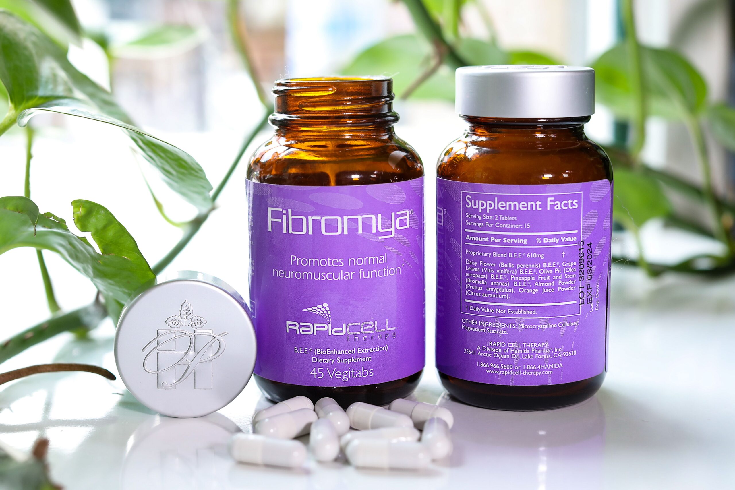 Best Supplement for Fibromyalgia and Chronic Fatigue