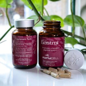 Best Supplement for Digestive Health