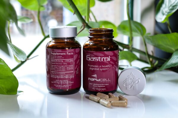 Best Supplement for Digestive Health