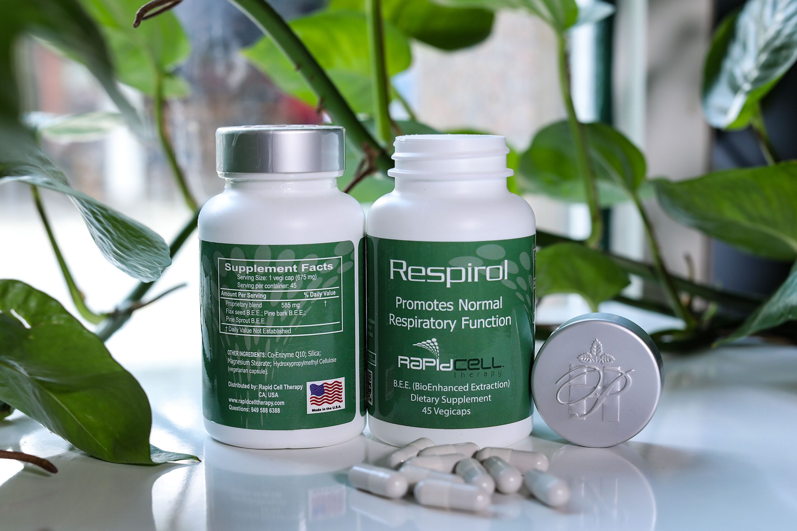 Best Supplement for Respiratory Health